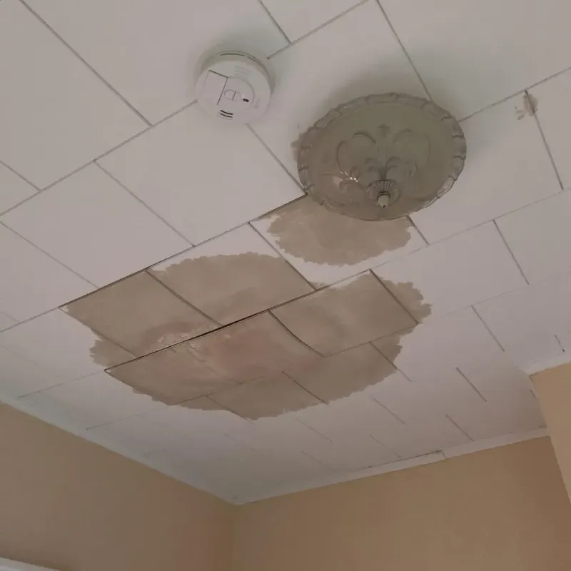 Ceiling Water Damage Repair in Sharon, MA