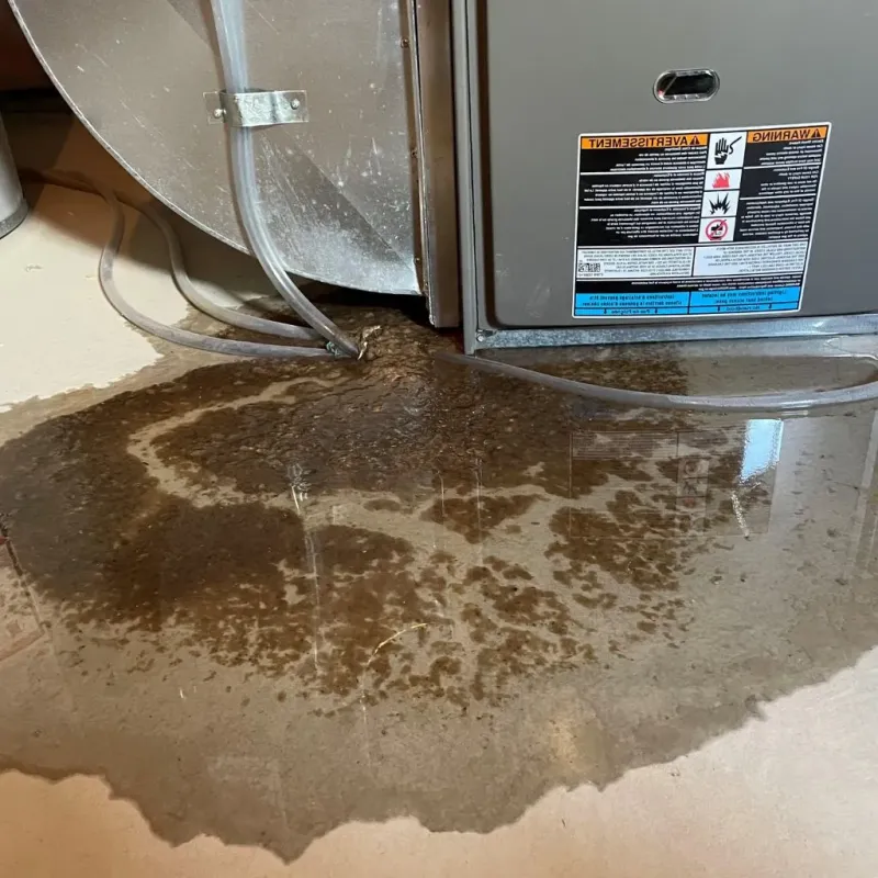 Pipe Burst and Leak Restoration in Sharon, MA